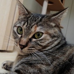 「おヒゲは何色？」サムネイル1