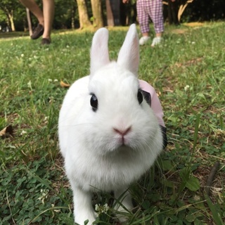 大切にしてくれる方