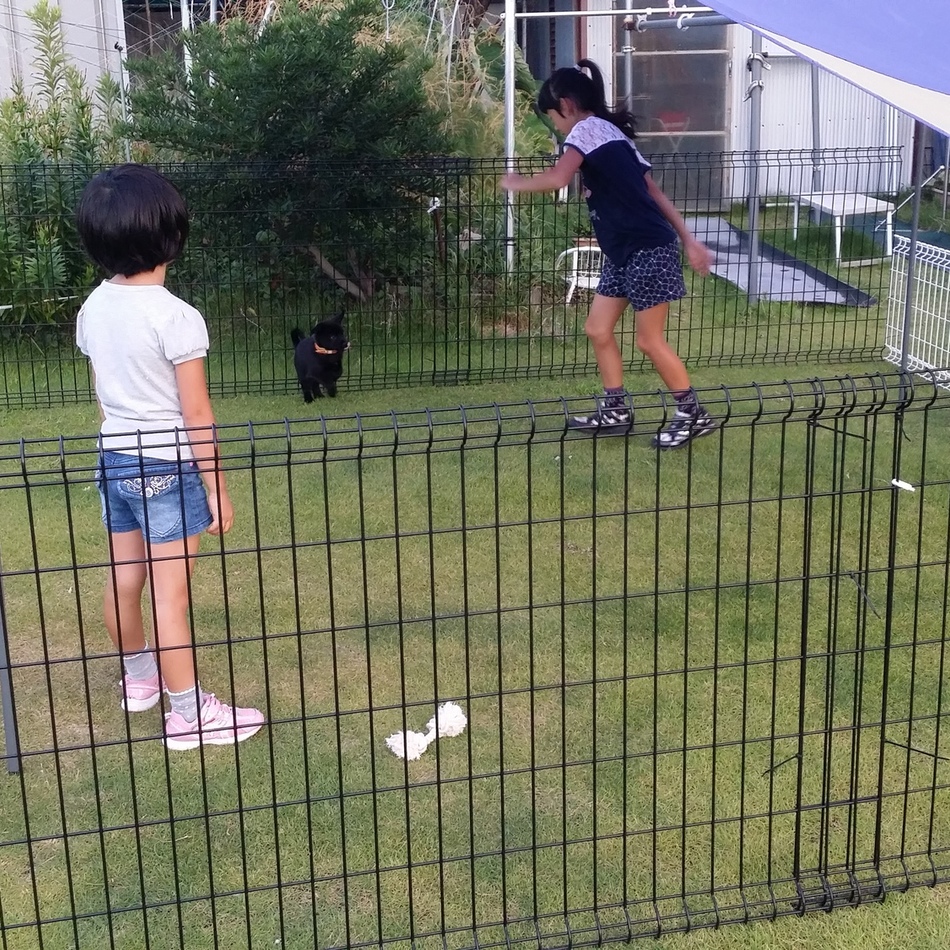 玄（ゲン）のカバー写真