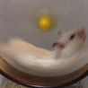 の写真