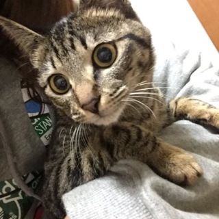 里親探してます！！！！