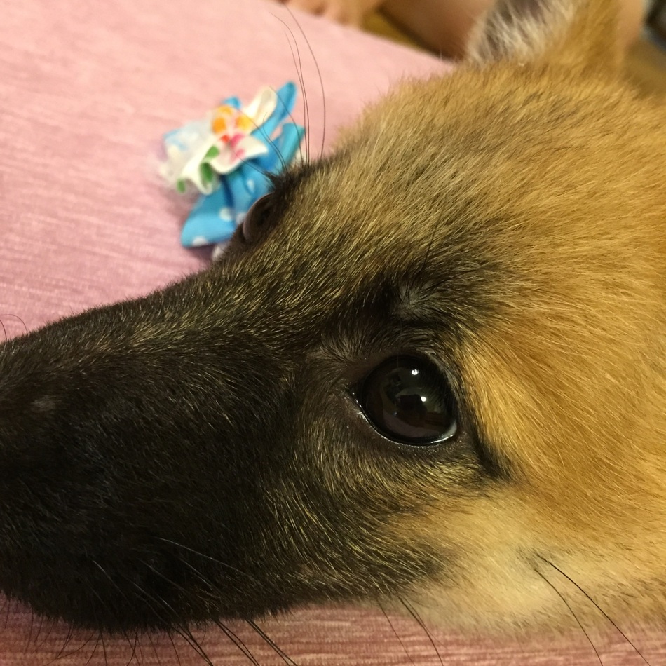 エルナのカバー写真