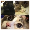 の写真
