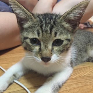 人懐こい男の子！