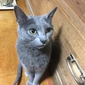 多数のご応募ありがとうございました