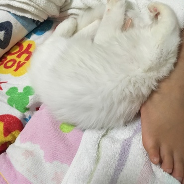 お姉ちゃんすきすき