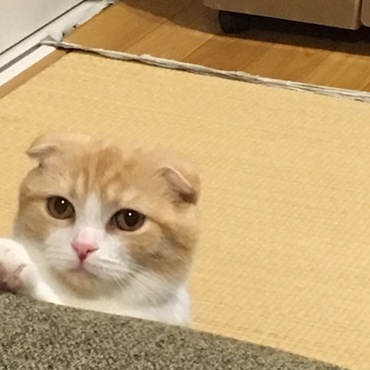 ソファーの下からむくり^o^