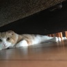 かくれんぼ^o^