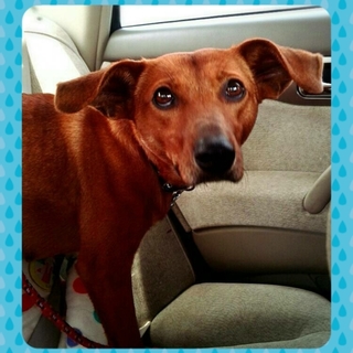 優しい女の子です(代理投稿)