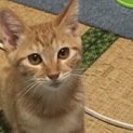  ジンです。仲良くして！