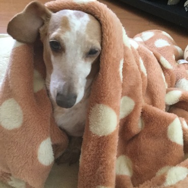 Mammy家族に出逢えた事にハッピー、