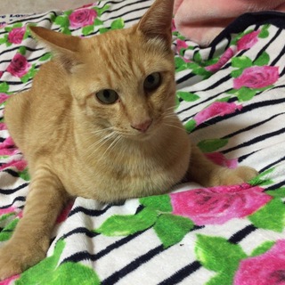 よろしくお願いします！