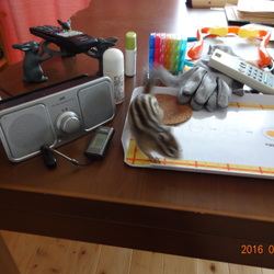 こたろう、散歩する。