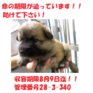 お迎え有り難うございます！！