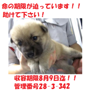 お迎え有り難うございます！！