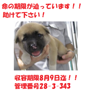 お迎え有り難うございます！！