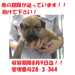 お迎え有り難うございます！！