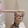 の写真