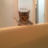 の写真