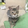 の写真