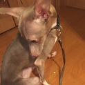 一度締め切らせていただきます(_ _))