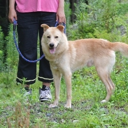 7月30日のカンジ君