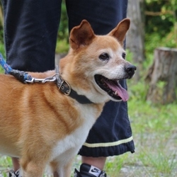 7月30日のムネ君