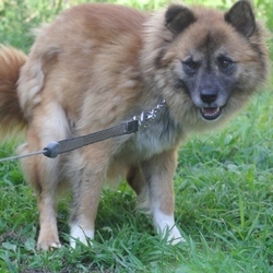 トイレ中は写さんでぇ～