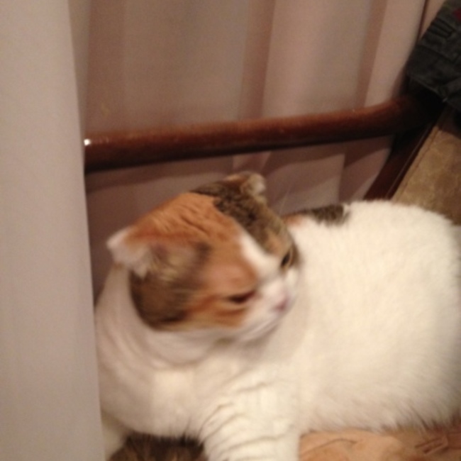 けーたろう1218のカバー写真