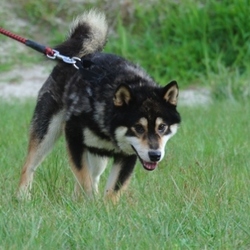 噛み噛みスイッチはどこ？