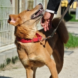 7月25日の離れの面々