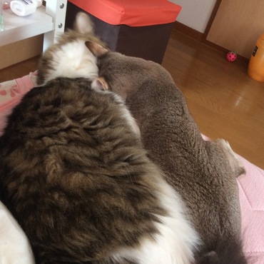 の写真