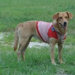 またまた遊びに来てくれたアスカさん