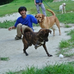 ディスクドッグ・デビューを目指して！