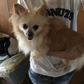至急！！家族になってくれませんか？？