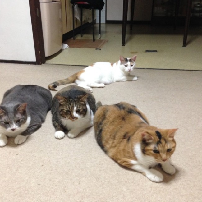 みかぽんのカバー写真