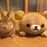 ぱんくん