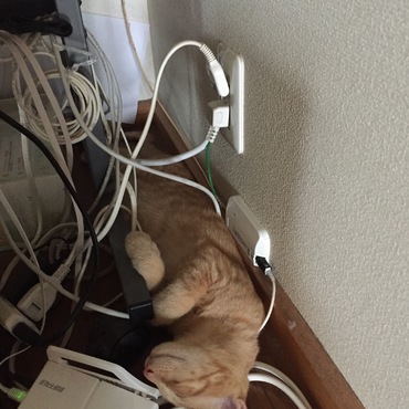あえて、ナゼそこで寝るかな…(^_^;)