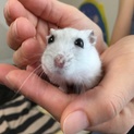 ありがとうございます。
