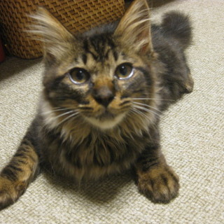 里親決定！！家族ができました(*´▽｀*)