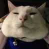 さん