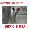 とっても素敵な家族のもとへ!ありがとうございます!