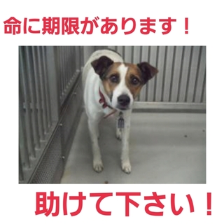 とっても素敵な家族のもとへ!ありがとうございます!