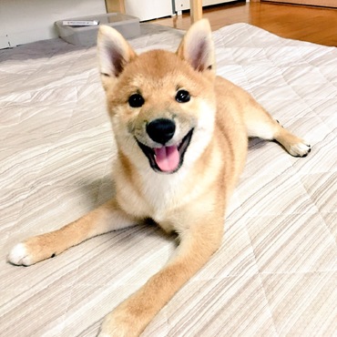 の写真