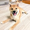 の写真