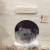 みっつん43