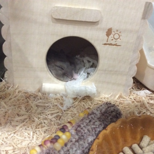 みっつん43のカバー写真