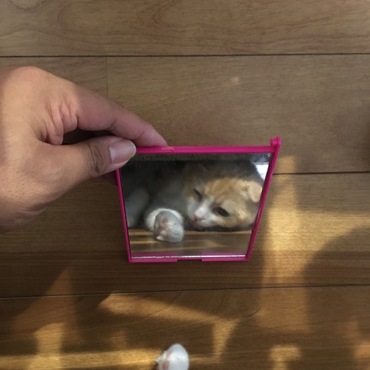ソファー下からかくれんぼ^o^