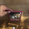 ソファー下からかくれんぼ^o^