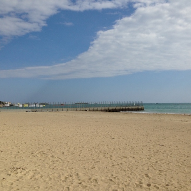 Eric_and_Shwarzのカバー写真